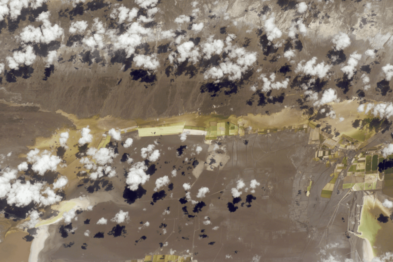 Civil Rights Groups Demand Federal Probe Into Baldwin ICE Facility - Wikimedia Commons