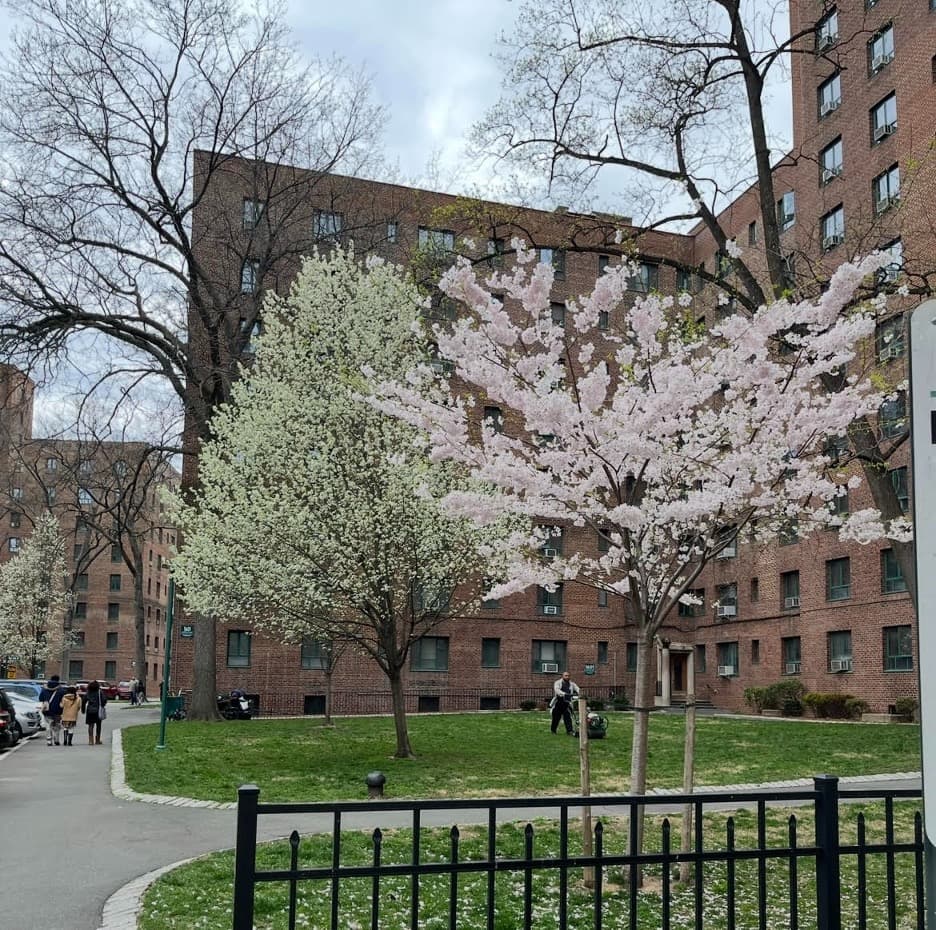 Federal Emergency Housing Voucher Program Ending Early, Leaving Thousands Scrambling