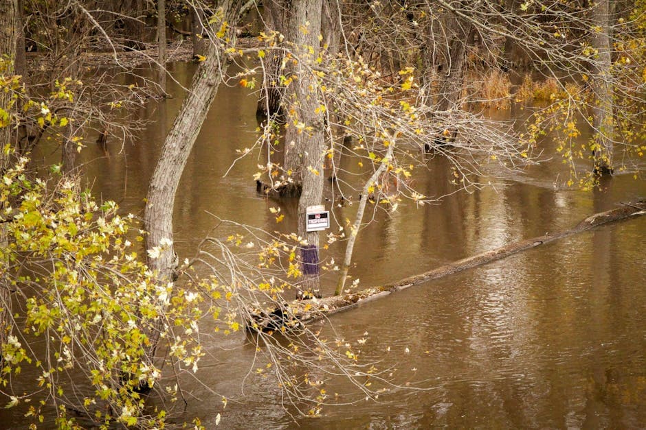 Flooding Continues Along Multiple Michigan Rivers as Spring Snowmelt Combines with Rainfall