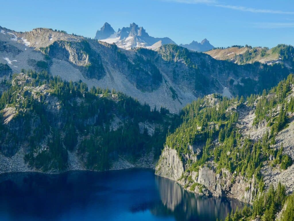 Forest Service Reorganization to Expand State Management Role Amid Concerns