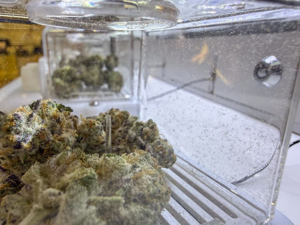 Justice Department Reschedules Medical Marijuana, Eases Federal Restrictions