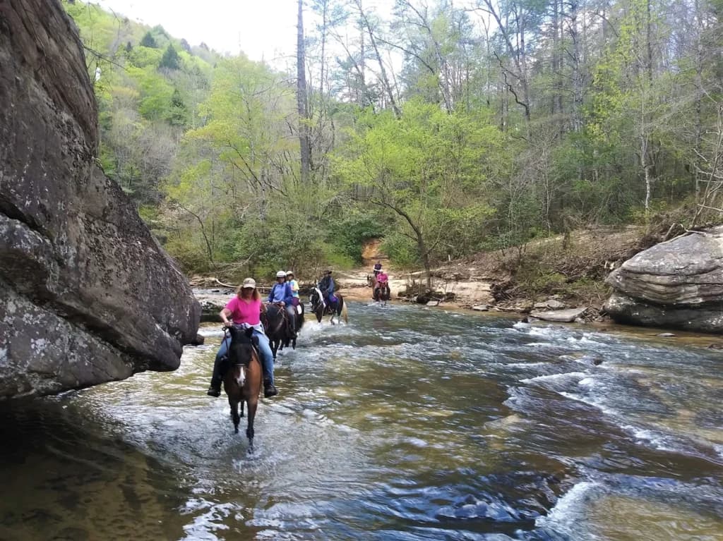 Tennessee House Fails to Pass Legislation Protecting Big South Fork from Landfill