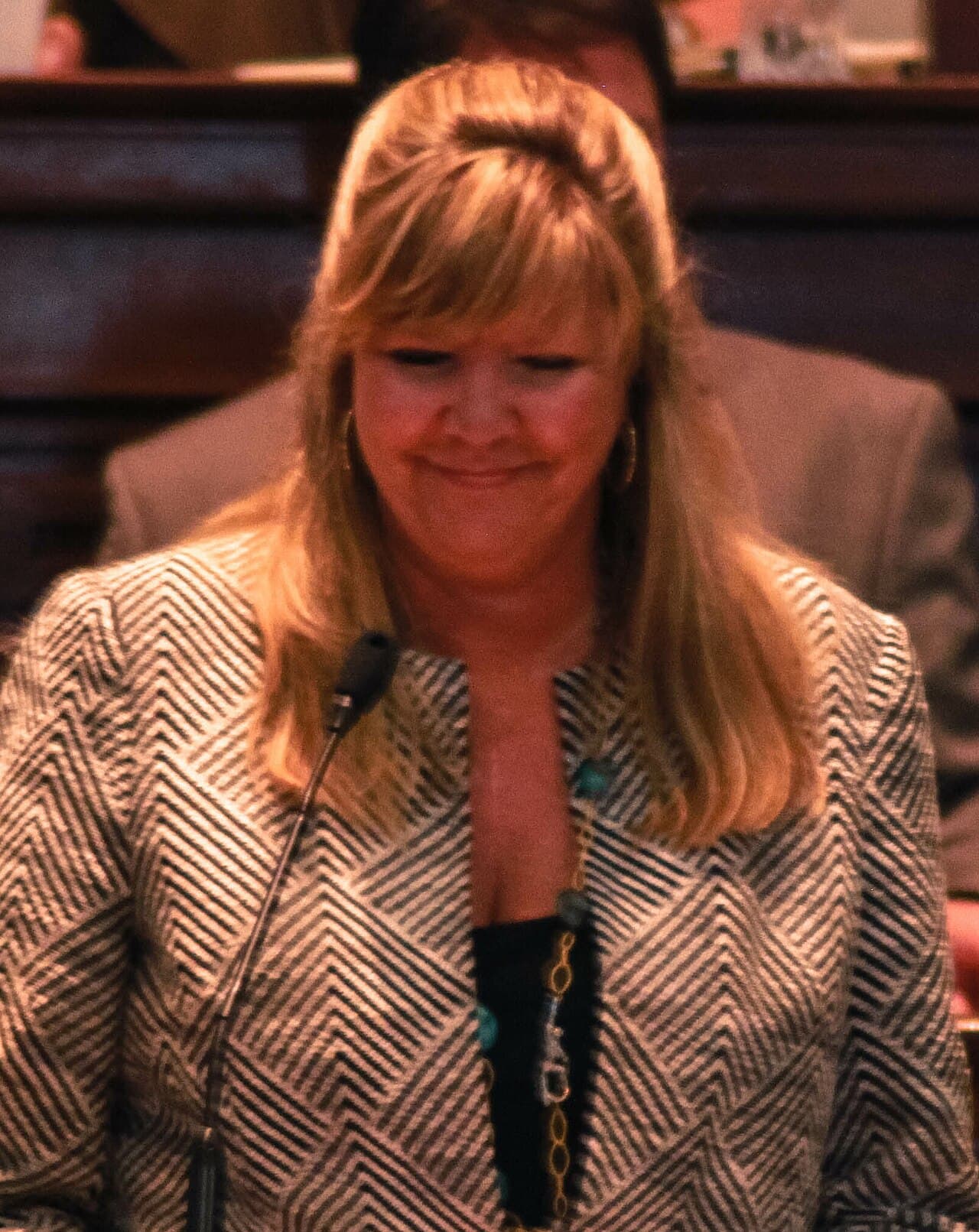 Tennessee State Rep. Gloria Johnson Announces Run for Nashville Mayor - Wikimedia Commons