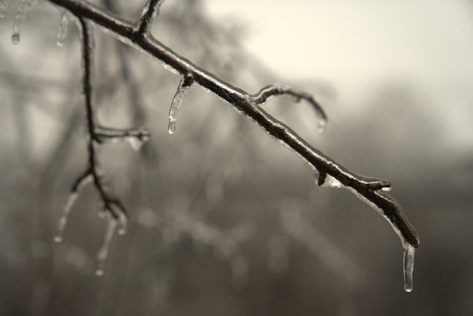 Freeze Watch Issued Across Large Portions of Michigan Through Saturday Morning