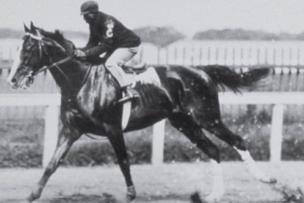 Legal Expert Draws Parallels Between Kentucky Derby and Supreme Court Voting Rights