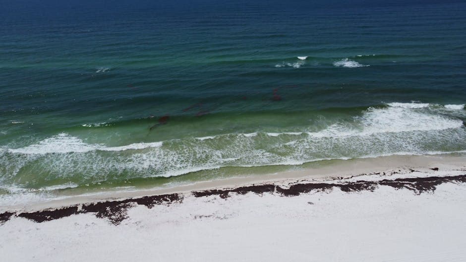Rip Current Alert Issued for Northwest Florida Gulf Coast Counties