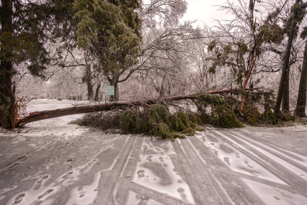 FEMA Disaster Aid for Tennessee Winter Storm Surpasses $36 Million