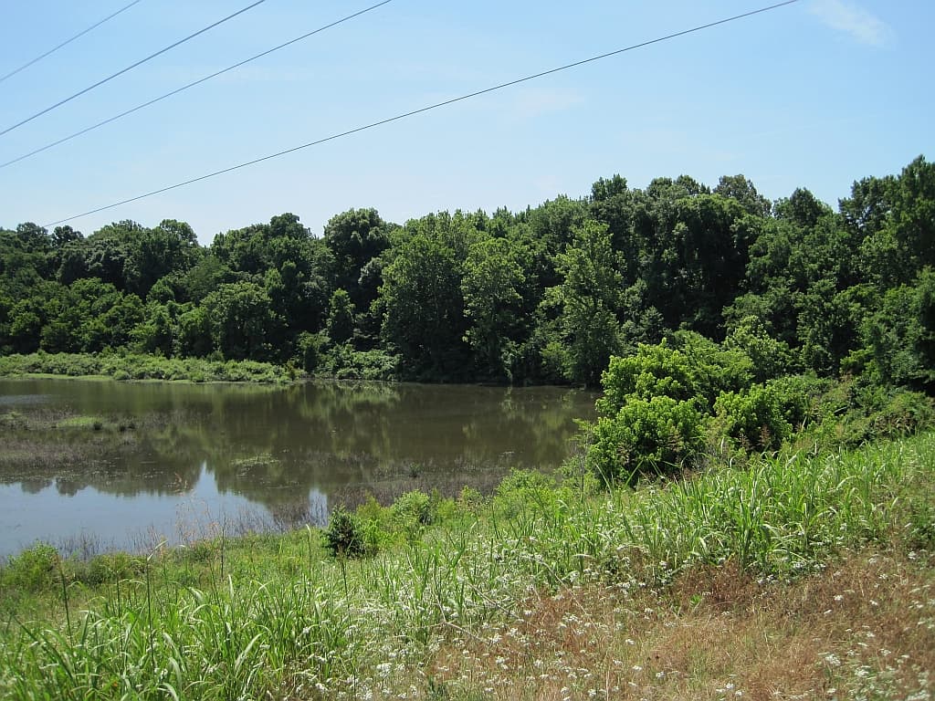 Flood Advisory Issued for Memphis Area Through 5 PM Monday - Wikimedia Commons