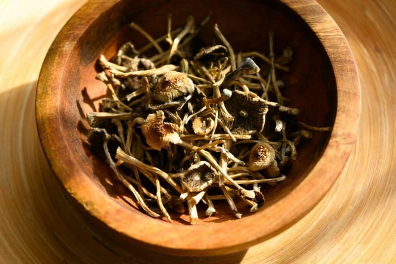 NC Lawmakers Push $5.4M Bill to Study Psychedelic Therapies for Veterans
