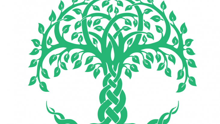 The Tree of Life