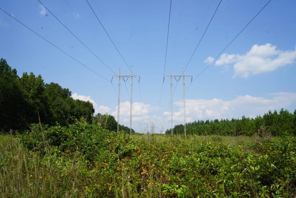 Environmental Groups Sue Georgia Power Over Data Center Energy Expansi