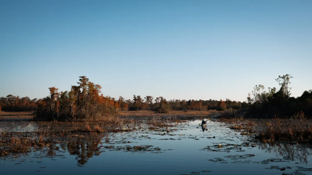 Georgia students pressure Oreo maker to protect Okefenokee Swamp
