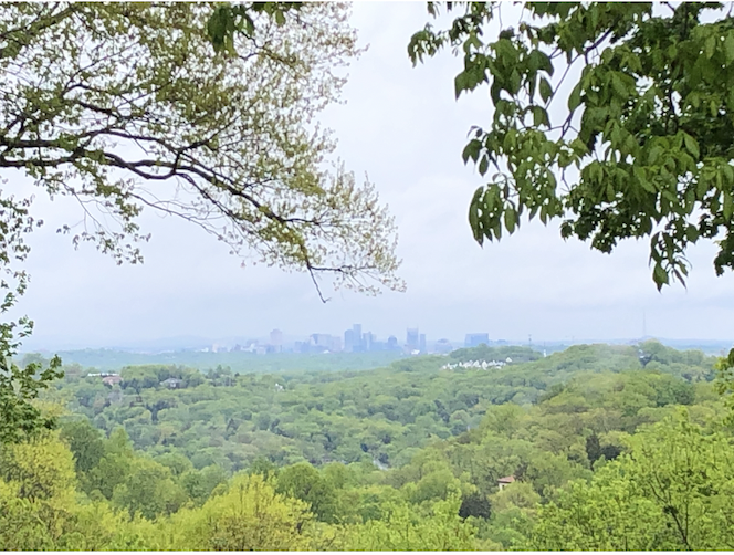 Memphis Zoo Cuts Saturday Hours Short After Celebrating 120th Anniversary - Wikimedia Commons