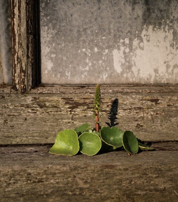 Legisladores de Ohio consideran plan controversial para fusionar universidades públicas