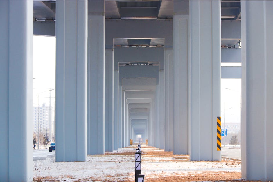 Tree Splits North Olmsted Home, Family Escapes Injury